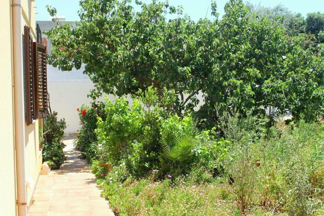 Casa Barraco Apartment San Vito Lo Capo Ngoại thất bức ảnh